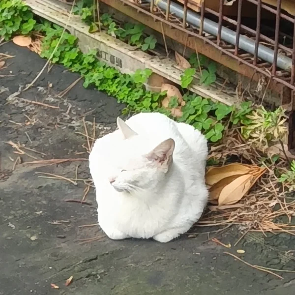 今日のお礼💗