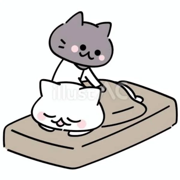 今週ラスト出勤🐱