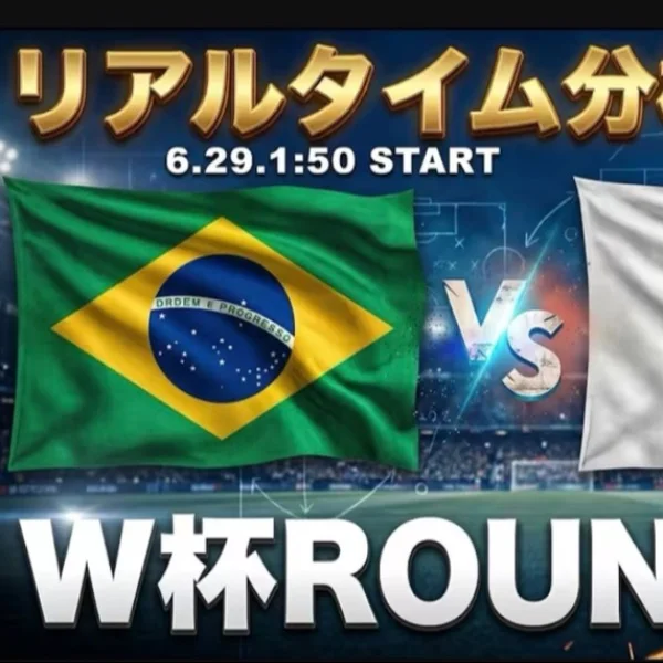 W杯 ブラジル戦 ⚽️