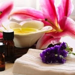 お店のコースその1