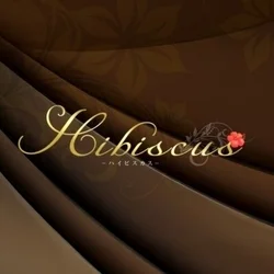 出張水戸メンズエステHibiscus