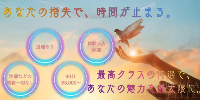 RE'VE'A:E'LITE レヴェア:エリートの求人募集イメージ2