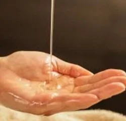 一番ベーシック看板コース