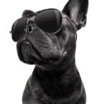 採用担当のイメージです