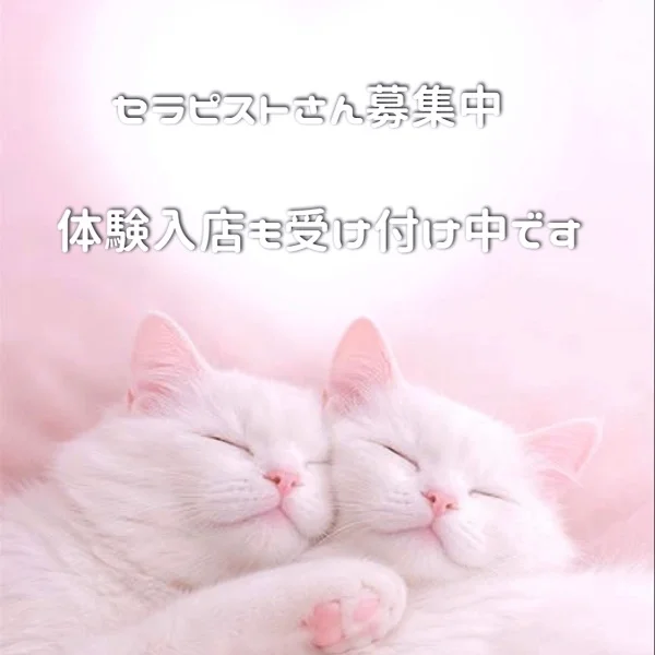 セラピストさんの体験入店受付中です✨✨