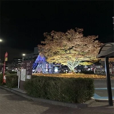 お店の特徴その1