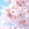 春よこい🌸のサムネイル