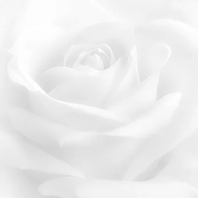 お店の特徴その3