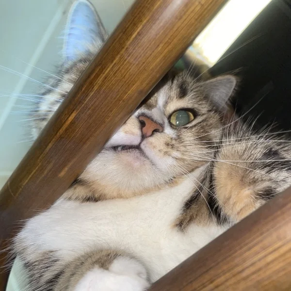 暑いですよー🥵