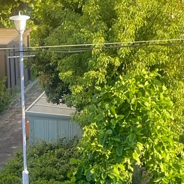 風が強くて🌀🍃