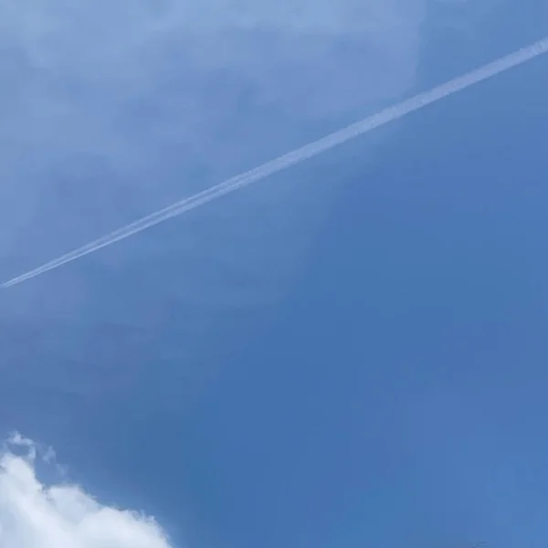 良いお天気🔆｡°