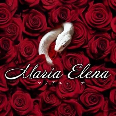 MariaElenaのメリットイメージ(2)