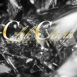 🌺【新人】本日3人の面接が決定🌺