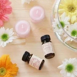 ふわふわお姉さん蒲田