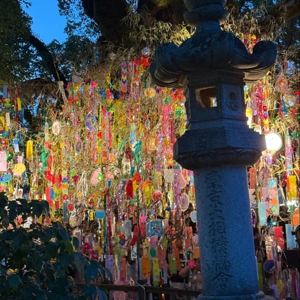 みゆの日常🎋⭐️