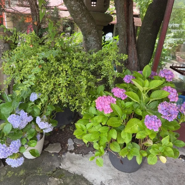 みゆの日常͛💠