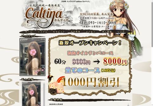 カルティナの公式ホームページ