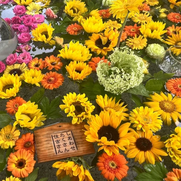 あと一枠🫣💗