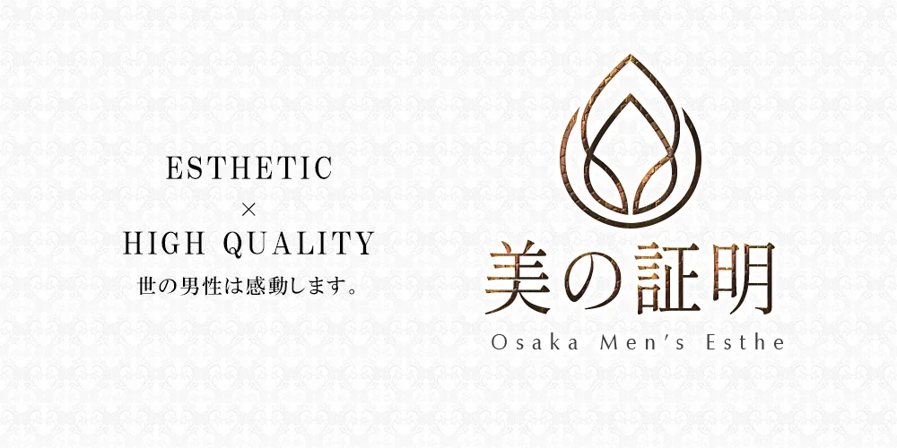 美の証明のカバー画像