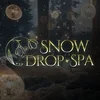 snow drop spa 市原五井店の店舗アイコン