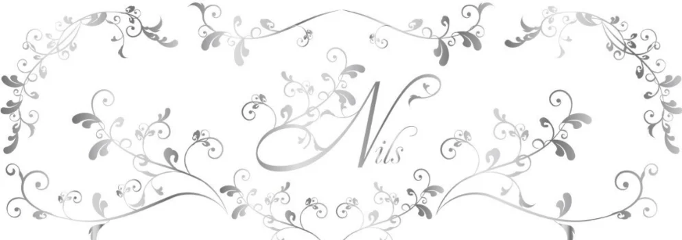 NILS （ニルス）の求人募集イメージ