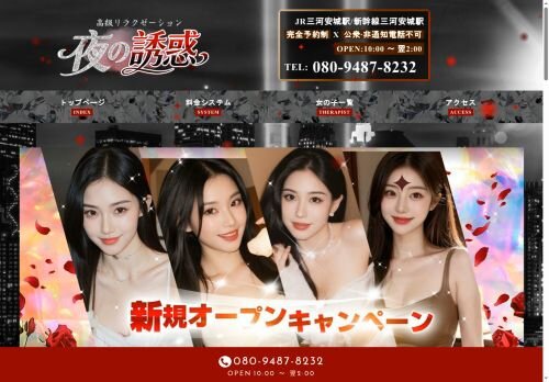 夜の誘惑の公式ホームページ