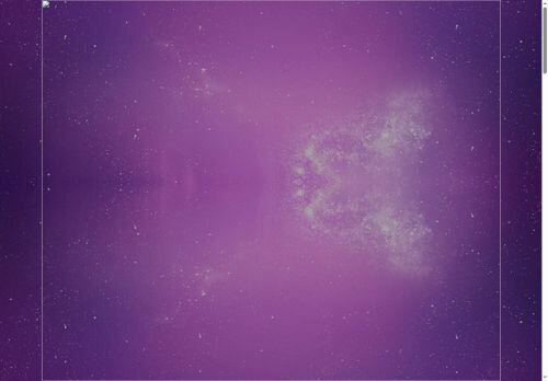 ひまわりの公式ホームページ