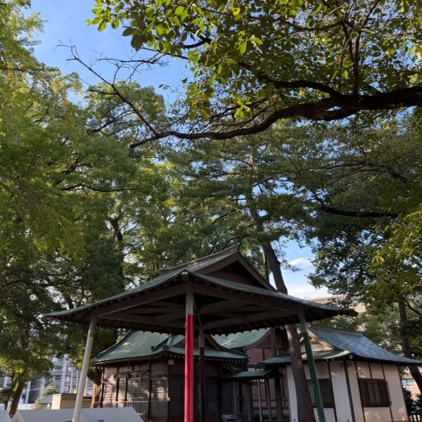 お散歩日和🌿
