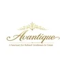 Avantique アヴァンティーク