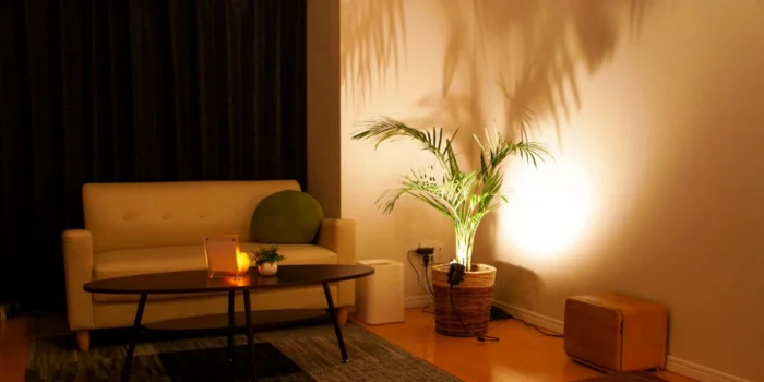 MOMOプロダクションの求人募集イメージ2