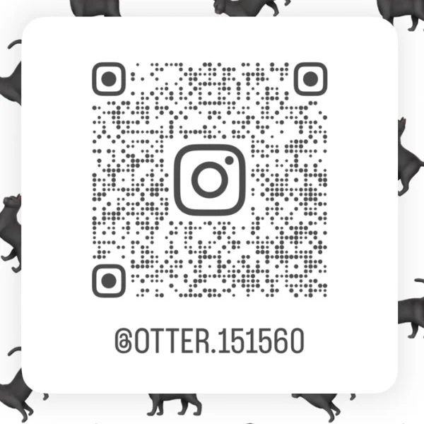 インスタのアカウント