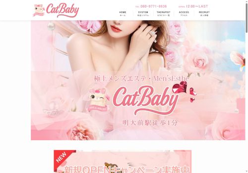 CatBabyの公式ホームページ