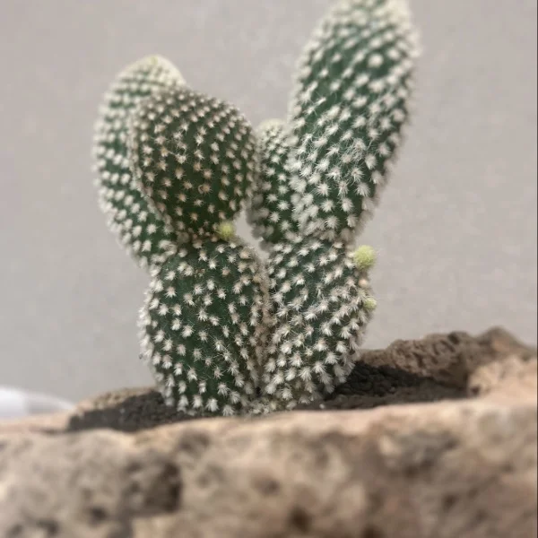 6/9ありがとう🥰