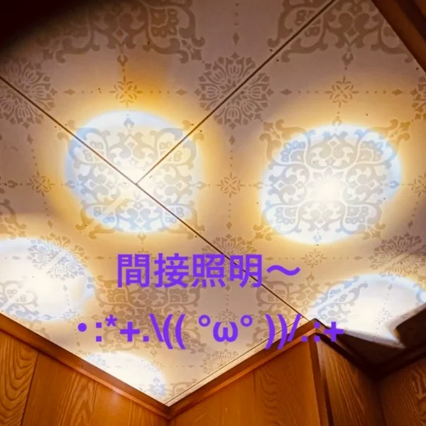 幻想的で綺麗✨