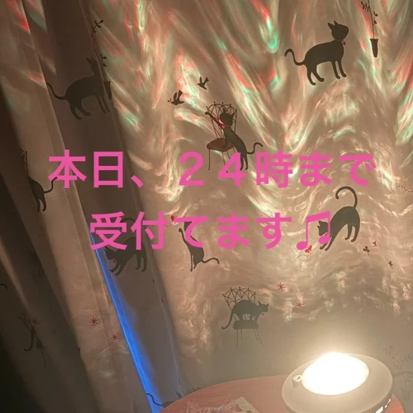 本日２４時まで受付です♫