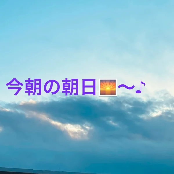 今朝の…☀️
