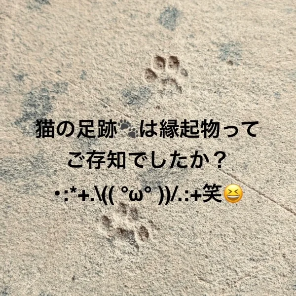 縁起物・:*+.\(( °ω° ))/.:+