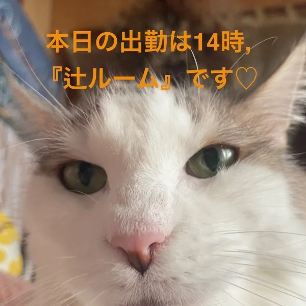 おはようございます☀️