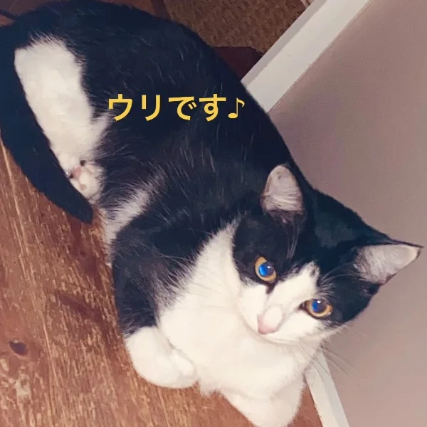 台風一過!