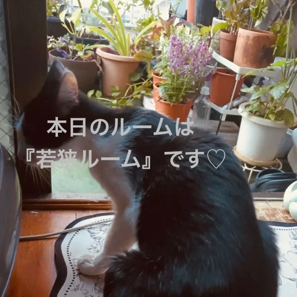 おはようございます☀️