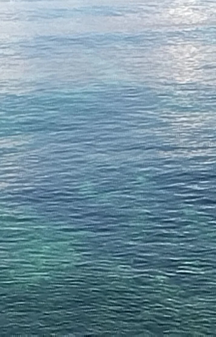 気分転換