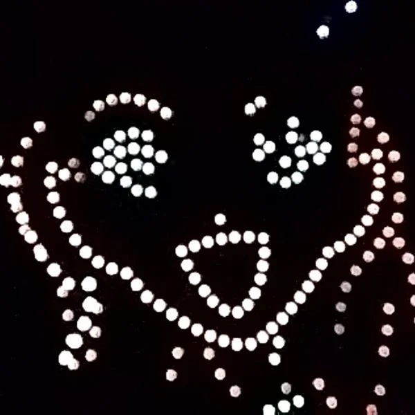 かなさ花火