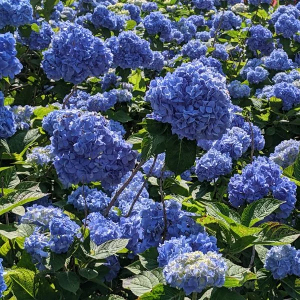 お礼