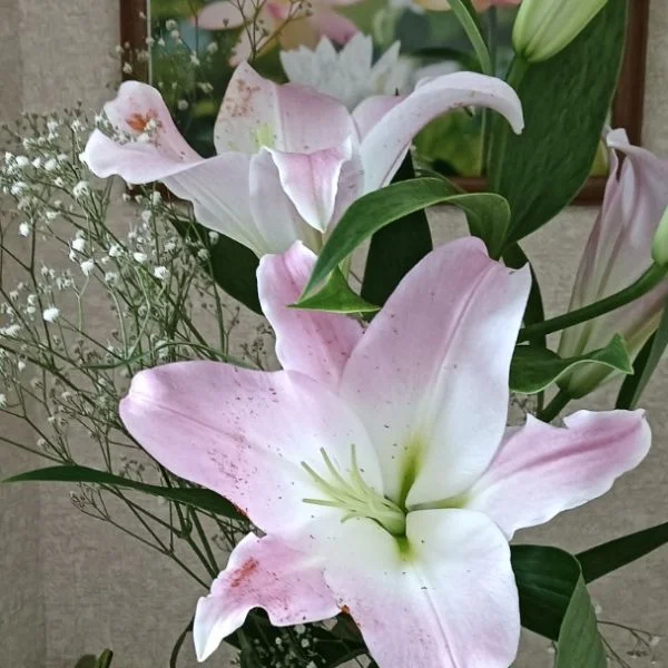 ありがとう