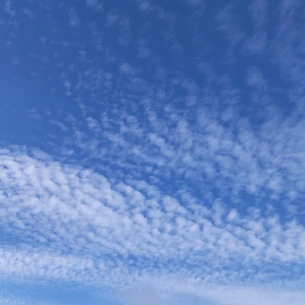 久し振りです