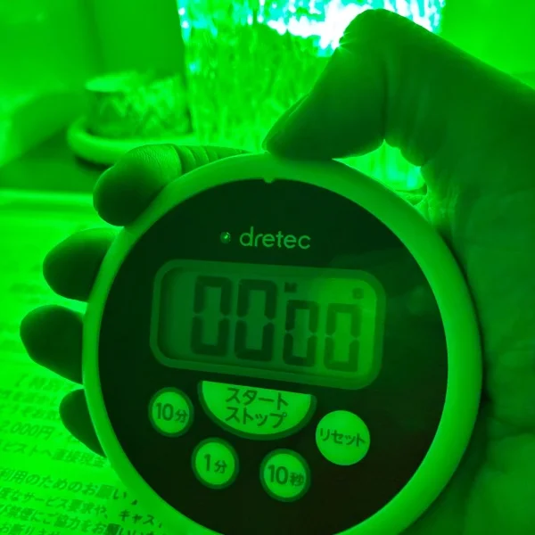 あれっ🐉