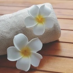 お店のコースその1