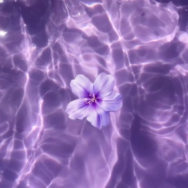9/13 ありがとう‎ᵕ ᵕ ♡