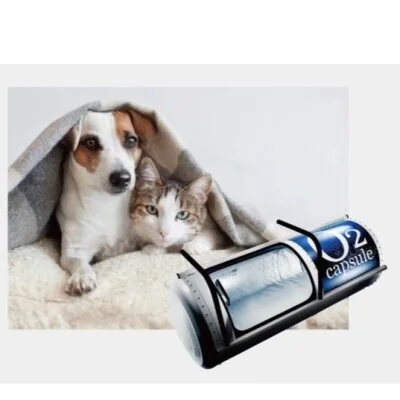 WhiteSwanのメリットイメージ(2)