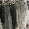 少人数だからこそ、一人ひとりを大切に育てています🦢✨のサムネイル